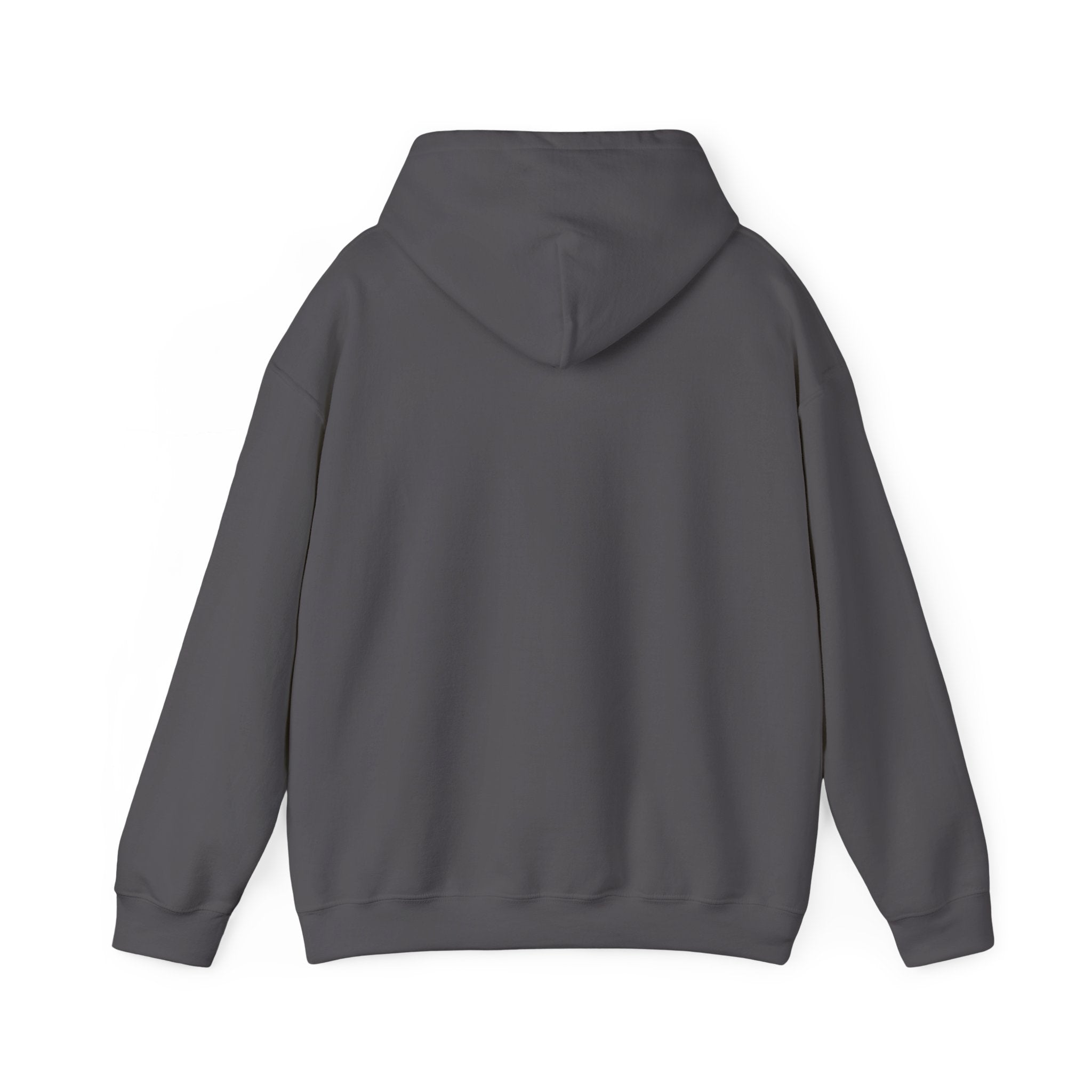 Steel CIty Draft Weekend Hoodie